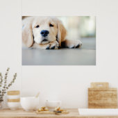 Sleepy Golden Retriever Puppy Poster (Keuken)
