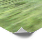 Sleepy Goslings Poster (Hoek)