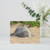 Sleepy Hawaiian Monk Seal Briefkaart (Staand voorkant)