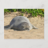 Sleepy Hawaiian Monk Seal Briefkaart (Voorkant)