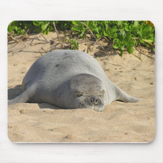 Sleepy Hawaiian Monk Seal Muismat (Voorkant)
