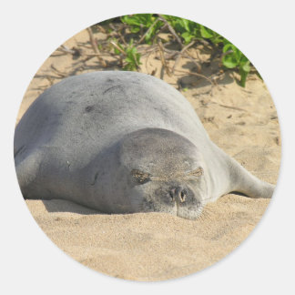 Sleepy Hawaiian Monk Seal Ronde Sticker