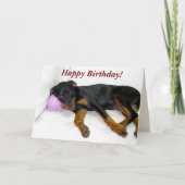 Sleepy Heidi en Ball Verjaardag Kaart (Voorkant)