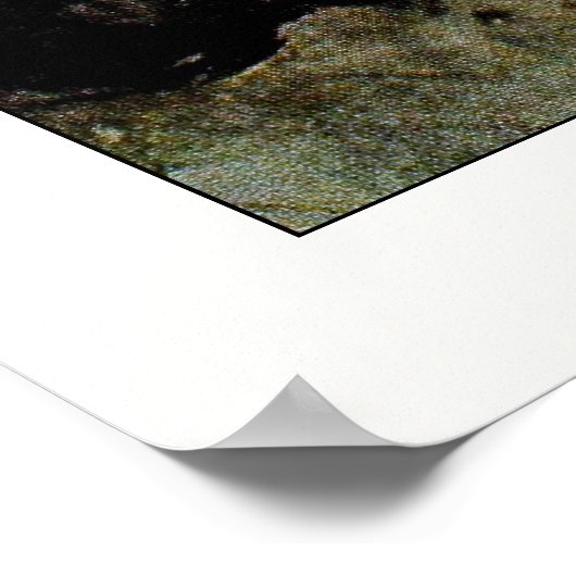 Sleepy Hollow: avontuur van Brom-Botten Poster (Hoek)