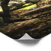 "Sleepy Hollow" Poster (Hoek)