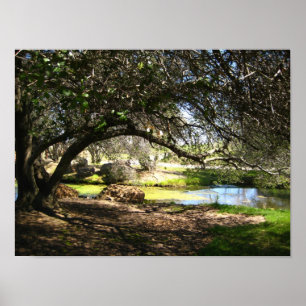 "Sleepy Hollow" Poster