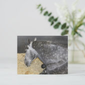 Sleepy Horse op de kermis Briefkaart (Staand voorkant)