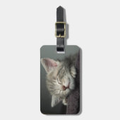 Sleepy Kitten Bagagelabel (Voorkant verticaal)