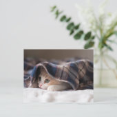 Sleepy Kitten Briefkaart (Staand voorkant)