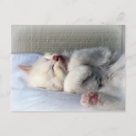 Sleepy Kitten Briefkaart (Voorkant)