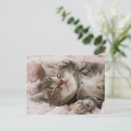 Sleepy Kitten Briefkaart (Staand voorkant)