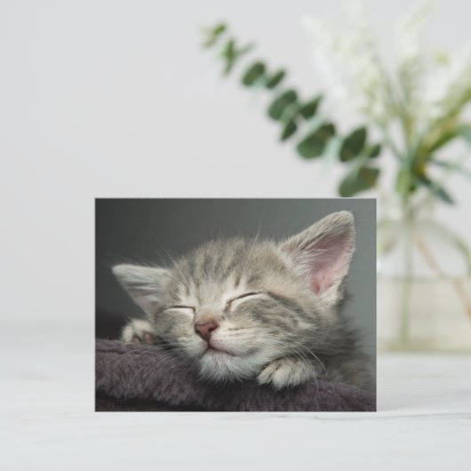 Sleepy Kitten Briefkaart (Staand voorkant)