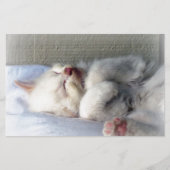 Sleepy Kitten Briefpapier (Voorkant)