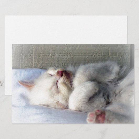 Sleepy Kitten Briefpapier (Voorkant / Achterkant)
