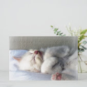 Sleepy Kitten Briefpapier (Staand voorkant)