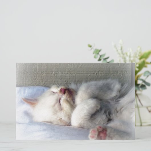 Sleepy Kitten Briefpapier (Staand voorkant)