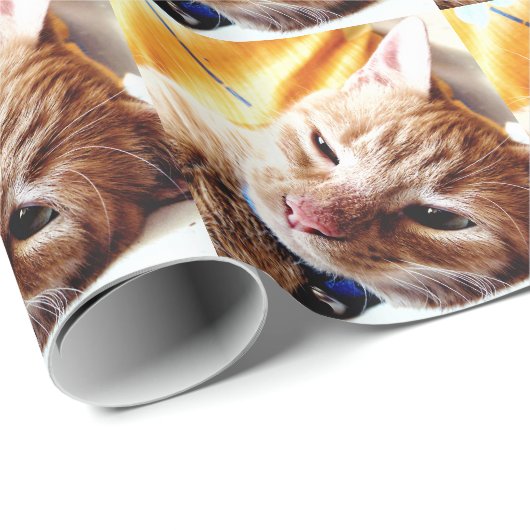 Sleepy Kitten Cadeaupapier (Rol Hoek)