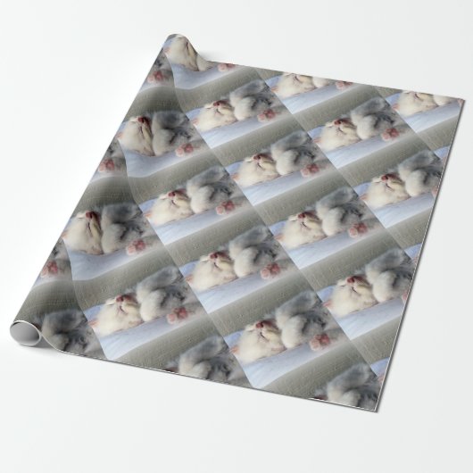 Sleepy Kitten Cadeaupapier (Uitgerold)