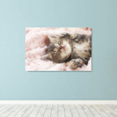Sleepy Kitten Canvas Afdruk (Insitu (Houten vloer))