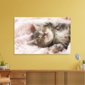 Sleepy Kitten Canvas Afdruk (Insitu (Woonkamer))
