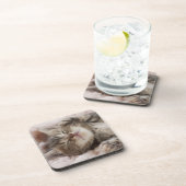 Sleepy Kitten Drankjes Onderzetter (Rechterzijde)