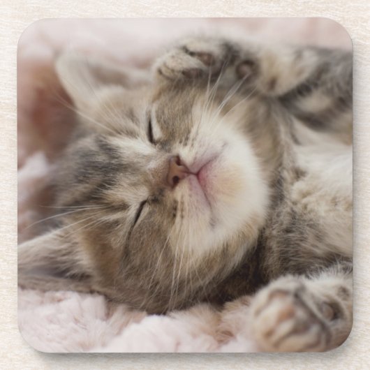 Sleepy Kitten Drankjes Onderzetter (Voorkant)