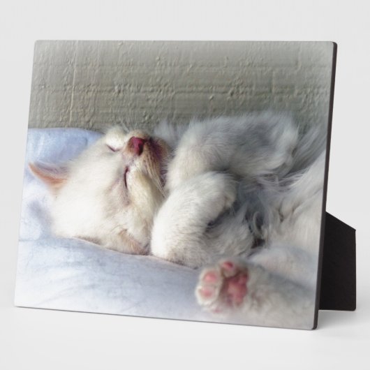Sleepy Kitten Fotoplaat (Zijkant)