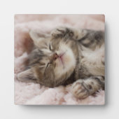 Sleepy Kitten Fotoplaat (Voorkant)