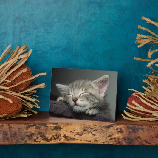 Sleepy Kitten Fotoplaat (Zijkant)