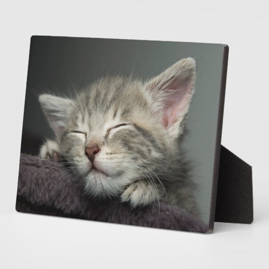 Sleepy Kitten Fotoplaat (Zijkant)