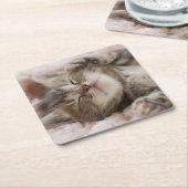 Sleepy Kitten Kartonnen Onderzetters (Schuin)