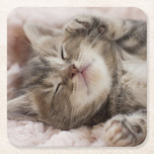 Sleepy Kitten Kartonnen Onderzetters