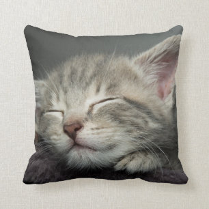 Sleepy Kitten Kussen