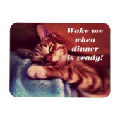 Sleepy Kitten Magent Magneet (Horizontaal)