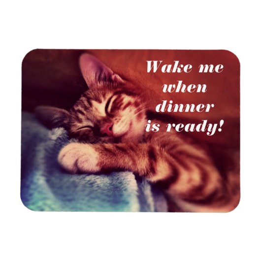 Sleepy Kitten Magent Magneet (Horizontaal)