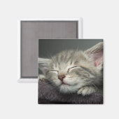 Sleepy Kitten Magneet (Voorkant / Achterkant)
