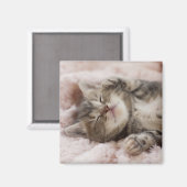 Sleepy Kitten Magneet (Voorkant / Achterkant)