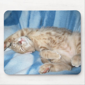 Sleepy Kitten Mousepad Muismat