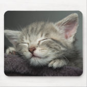 Sleepy Kitten Muismat (Voorkant)