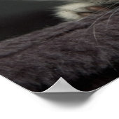 Sleepy Kitten Poster (Hoek)