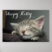 Sleepy Kitten Poster (Voorkant)