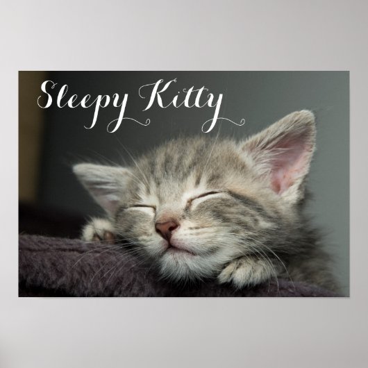 Sleepy Kitten Poster (Voorkant)