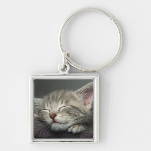 Sleepy Kitten Sleutelhanger (Voorkant)