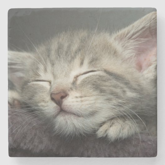 Sleepy Kitten Stenen Onderzetter (Voorkant)