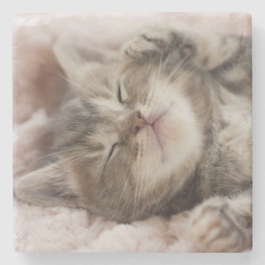Sleepy Kitten Stenen Onderzetter (Voorkant)