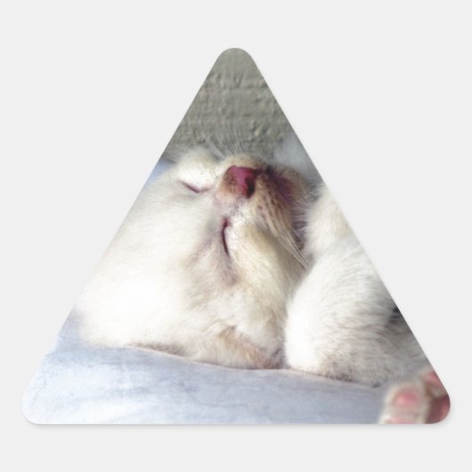 Sleepy Kitten Sticker (Voorkant)