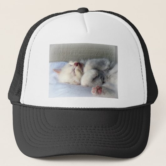 Sleepy Kitten Trucker Pet (Voorkant)