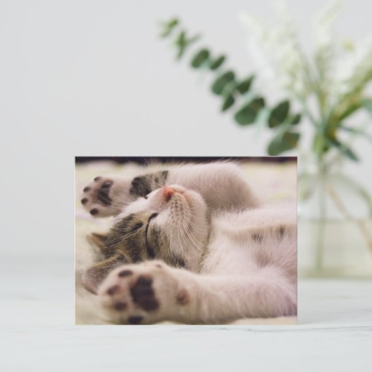 Sleepy Kitten | Uitgebreide poten Briefkaart (Staand voorkant)