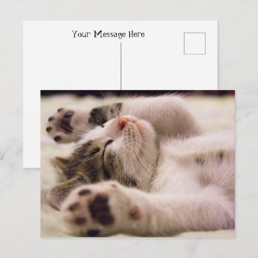 Sleepy Kitten | Uitgebreide poten Briefkaart (Voorkant / Achterkant)