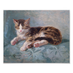 Sleepy Kitten van Henriette Ronner-Knip Foto Afdruk